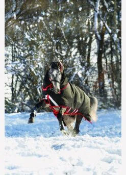 Rambo Supreme Vari-Layer Heavy Turnout Rug 450g - Black/Red -Equestrian Supplies Shop fm 2014 01 15 04 32 32 78792