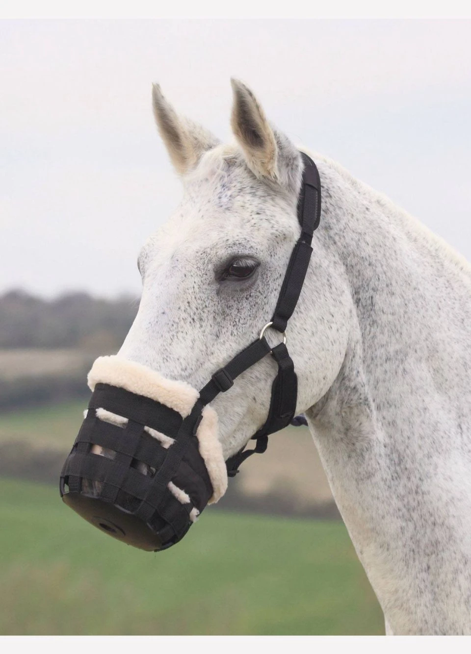 Shires Deluxe Comfort Grazing Muzzle - Black 4 Shires Deluxe Comfort Grazing Muzzle - Black - Image 2