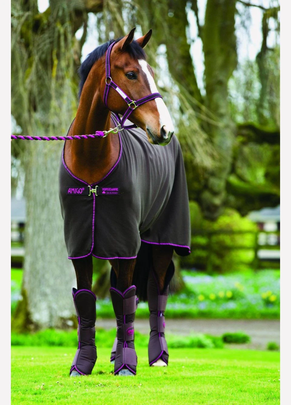 Amigo Headcollar - Navy/Silver 4 Amigo Headcollar - Navy/Silver - Image 2