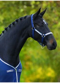 Rambo Grand Prix Headcollar - Navy/Blue