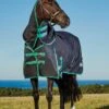 Weatherbeeta Green-Tec 900D Detach-A-Neck Heavy Turnout - Black/Bottle Green -Equestrian Supplies Shop greentechdanhvyrdy