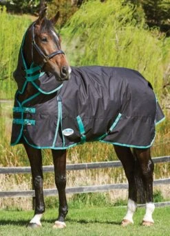Weatherbeeta Green-Tec 900D Detach-A-Neck Medium Turnout - Black/Bottle Green
