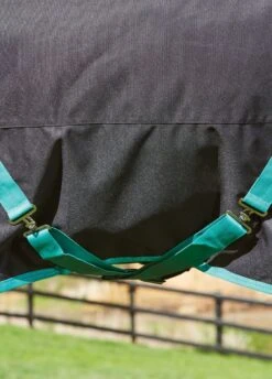 Weatherbeeta Green-Tec 900D Detach-A-Neck Medium Turnout - Black/Bottle Green 13 Weatherbeeta Green-Tec 900D Detach-A-Neck Medium Turnout - Black/Bottle Green -Equestrian Supplies Shop greentechfeatures1rdy 1