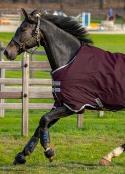 Amigo Hero Ripstop 50g - Fig 9 Amigo Hero Ripstop 50g - Fig -Equestrian Supplies Shop hero50fig2rdy