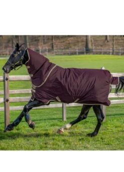 Amigo Hero Ripstop Plus 100g - Fig