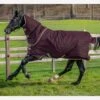 Amigo Hero Ripstop Plus Turnout Rug Lite 0g - Fig -Equestrian Supplies Shop heroripstoppluslite0gfigrdy