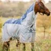 Amigo AmECO Combi Fly Rug - Teal/Grey 2 Amigo AmECO Combi Fly Rug - Teal/Grey -Equestrian Supplies Shop horseware ameco fly tealgrey 1rdy