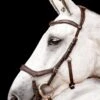 Horseware Micklem 2 Competition Bridle - Dark Havana -Equestrian Supplies Shop hw micklem2 bridle dkhavana 1rdy