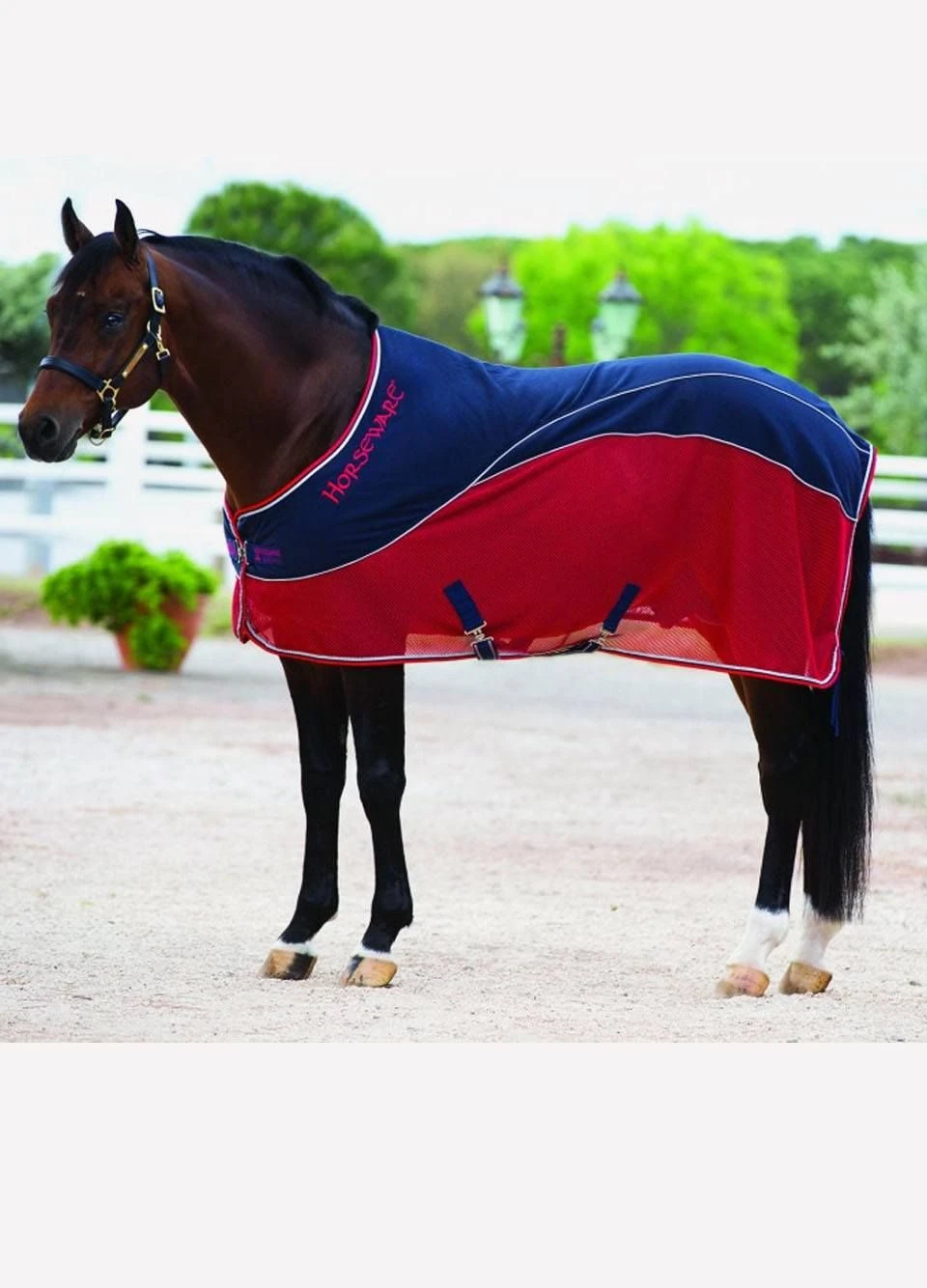 Rambo Sport Cooler - Navy/Red/Grey 3 Rambo Sport Cooler - Navy/Red/Grey