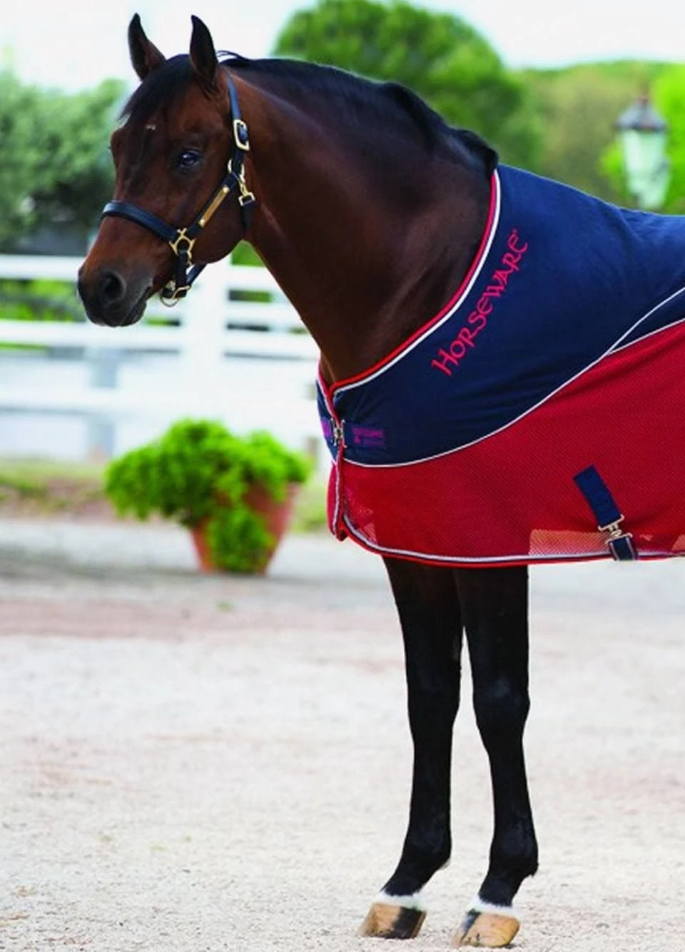 Rambo Sport Cooler - Navy/Red/Grey 4 Rambo Sport Cooler - Navy/Red/Grey - Image 2