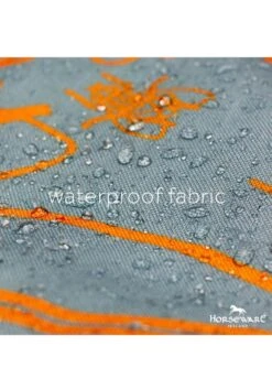 Amigo Three-In-One Evolution - Aqua/Orange -Equestrian Supplies Shop hwevolutionaqua3rdy