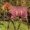 Horseware Ripstop Foal Rug - Fig/Navy/Tan -Equestrian Supplies Shop hwfoalrugfig1rdy