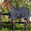 Horseware Ripstop Foal Rug - Navy/Electric 2 Horseware Ripstop Foal Rug - Navy/Electric -Equestrian Supplies Shop hwfoalrugnavyelectric1rdy