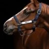Horseware Fieldsafe Headcollar - Navy -Equestrian Supplies Shop hwheadcollarnavy1rdy