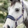 Rambo Padded Headcollar - Navy/Burgundy -Equestrian Supplies Shop hwramboheadcollarnavyburg1rdy