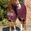 Amigo Stable Sheet - Fig -Equestrian Supplies Shop hwstablesheetfigrdy