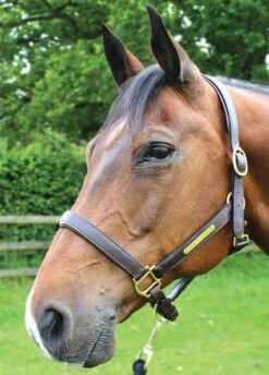 JHL Leather Headcollar - Brown