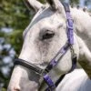 LeMieux Capella Headcollar - Bluebell -Equestrian Supplies Shop lemieux capella headcollar bluebell 1rdy