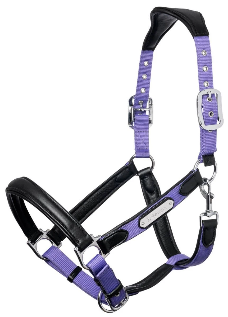 LeMieux Capella Headcollar - Bluebell 4 LeMieux Capella Headcollar - Bluebell - Image 2