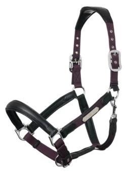 LeMieux Capella Headcollar - Fig -Equestrian Supplies Shop lemieux capella headcollar fig 2rdy