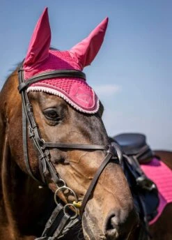 LeMieux Classic Fly Hood - Watermelon -Equestrian Supplies Shop lemieux fly hood watermelon 3rdy