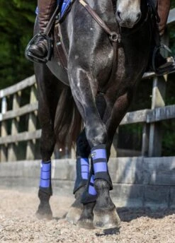 LeMieux Grafter Brushing Boots - Bluebell 15 LeMieux Grafter Brushing Boots - Bluebell -Equestrian Supplies Shop lemieux grafter boot bluebell 7rdy