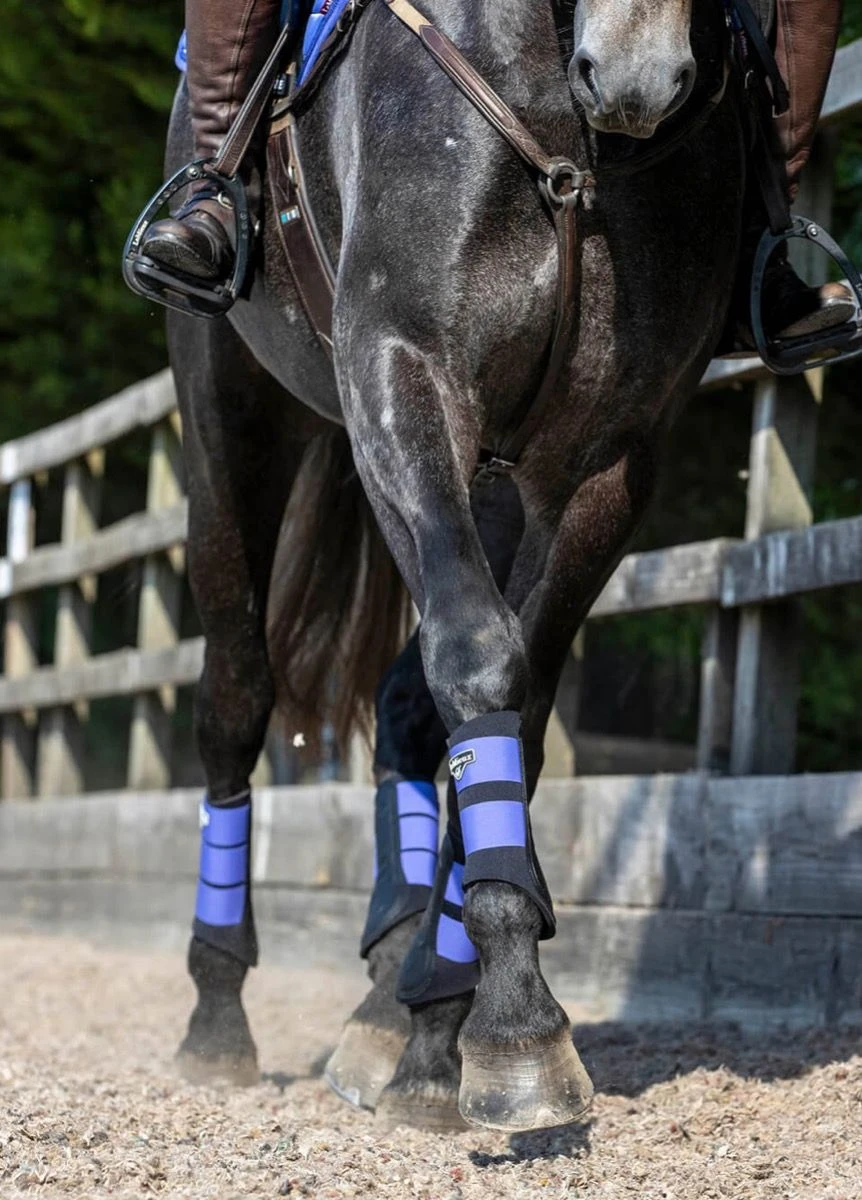 LeMieux Grafter Brushing Boots - Bluebell 9 LeMieux Grafter Brushing Boots - Bluebell - Image 7