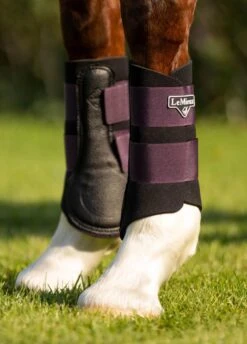LeMieux Grafter Brushing Boots - Fig -Equestrian Supplies Shop lemieux grafter boot fig 5rdy