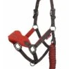 LeMieux Vogue Fleece Headcollar & Leadrope - Sienna -Equestrian Supplies Shop lemieux vogue headcollar sienna 1rdy