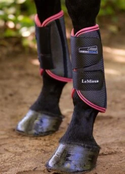 LeMieux Carbon Mesh Wrap Boots - Black/Papaya 9 LeMieux Carbon Mesh Wrap Boots - Black/Papaya -Equestrian Supplies Shop lemiex carbon mesh boot papaya 4rdy