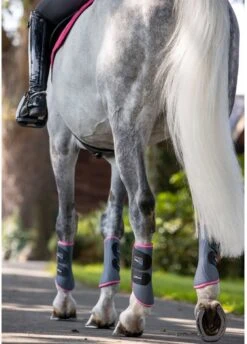 LeMieux Carbon Mesh Wrap Boots - Grey/Watermelon 9 LeMieux Carbon Mesh Wrap Boots - Grey/Watermelon -Equestrian Supplies Shop lemiex carbon mesh boot watermelon 4rdy