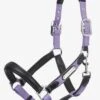 LeMieux Capella Headcollar - Iris 2 LeMieux Capella Headcollar - Iris -Equestrian Supplies Shop lm capella iris 1rdy