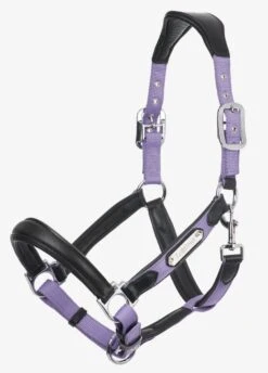 LeMieux Capella Headcollar - Iris