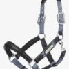 LeMieux Capella Headcollar - Jay Blue 1 LeMieux Capella Headcollar - Jay Blue -Equestrian Supplies Shop lm capella jayblue 1rdy