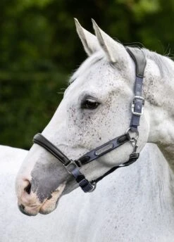 LeMieux Capella Headcollar - Jay Blue -Equestrian Supplies Shop lm capella jayblue 2rdy