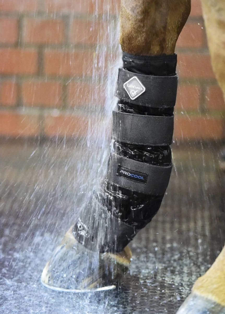 LeMieux Cold Water Boots - Black 4 LeMieux Cold Water Boots - Black - Image 2