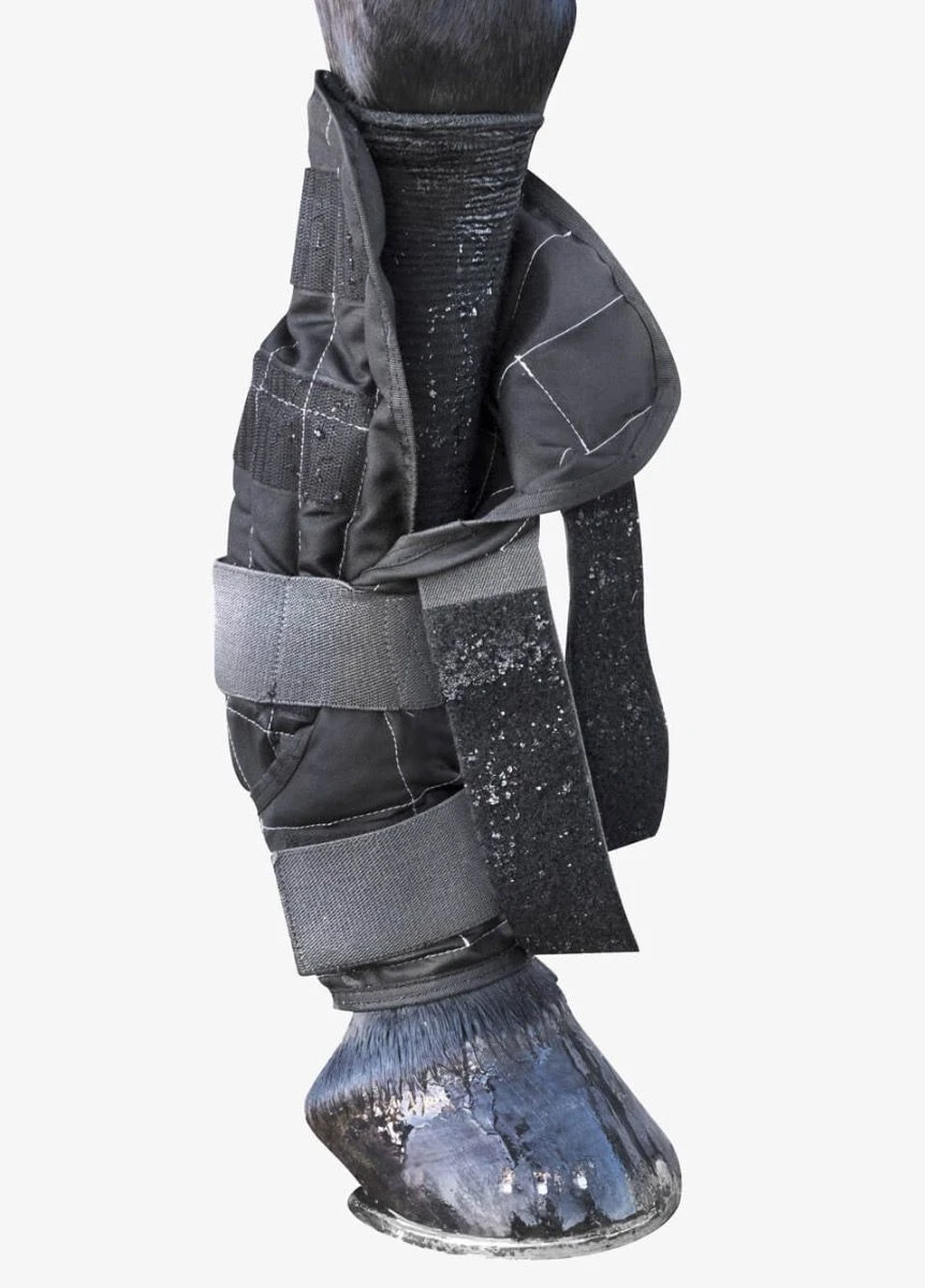 LeMieux Cold Water Boots - Black 5 LeMieux Cold Water Boots - Black - Image 3