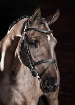 LeMieux Arika Flash Bridle - Black/Silver