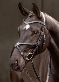 LeMieux Arika Grackle Bridle - Black/Silver