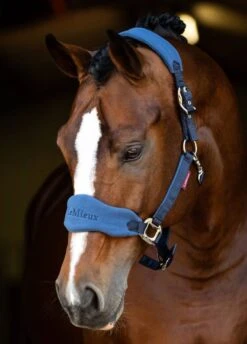 LeMieux Vogue Fleece Headcollar & Leadrope - Atlantic -Equestrian Supplies Shop lm headcollar atlantic 1rdy
