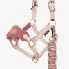 LeMieux Mini Vogue Headcollar & Leadrope - Pink Quartz 1 LeMieux Mini Vogue Headcollar & Leadrope - Pink Quartz -Equestrian Supplies Shop lm mini vogue pink 1rdy