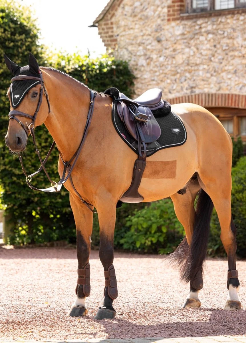 LeMieux Puissance CC Square - Black 3 LeMieux Puissance CC Square - Black