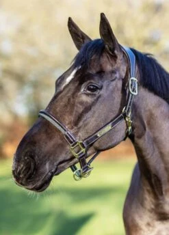 LeMieux Rope Control Headcollar - Brown -Equestrian Supplies Shop lm rope brown 2rdy