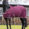 LeMieux Arika Air-Tek Sheet - Burgundy -Equestrian Supplies Shop lmarikaairburgundyrdy