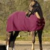LeMieux Arika Clima-Tek Rug - Burgundy -Equestrian Supplies Shop lmarikaburgundyrdy