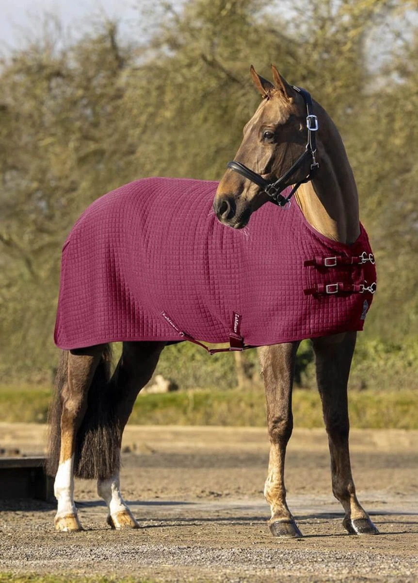 LeMieux Arika Clima-Tek Rug - Burgundy 3 LeMieux Arika Clima-Tek Rug - Burgundy