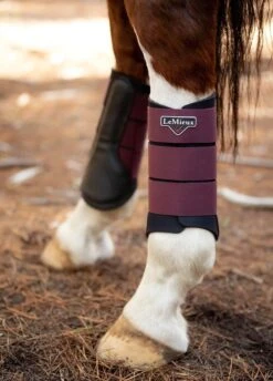 LeMieux Grafter Brushing Boots - Rioja 13 LeMieux Grafter Brushing Boots - Rioja -Equestrian Supplies Shop lmbootrioja6rdy
