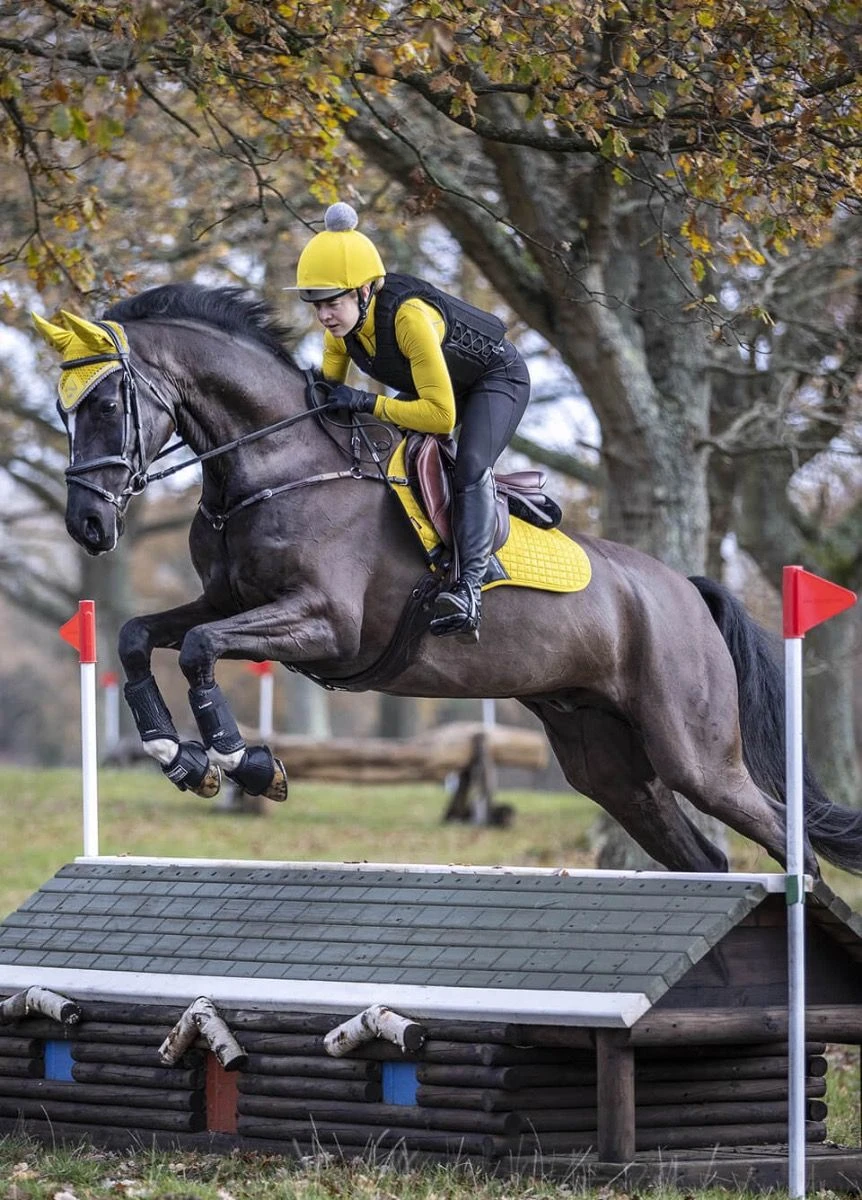 LeMieux Suede CC Square - Dijon 4 LeMieux Suede CC Square - Dijon - Image 2