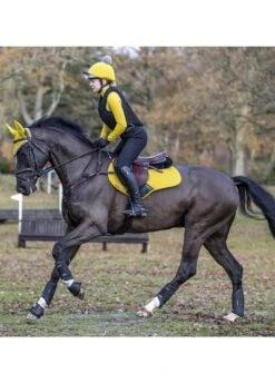 LeMieux Suede CC Square - Dijon 8 LeMieux Suede CC Square - Dijon -Equestrian Supplies Shop lmccdijon4rdy