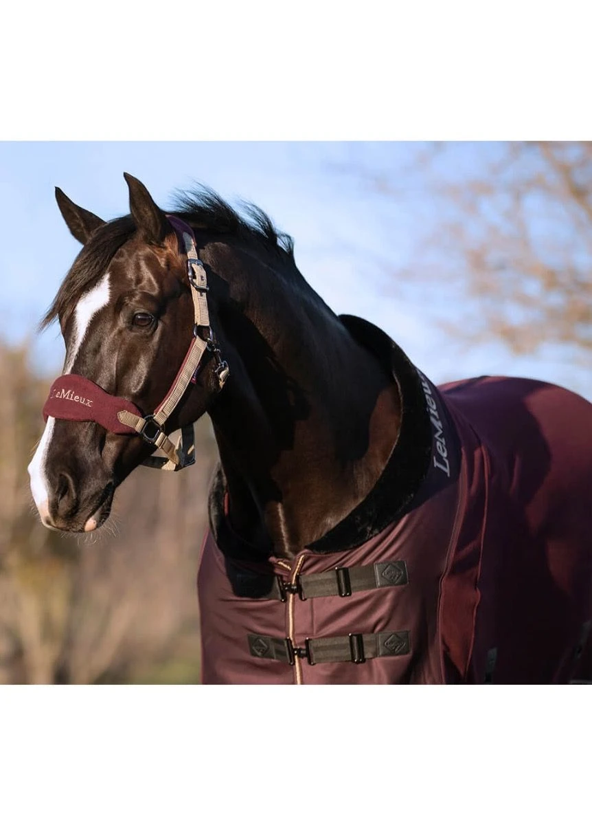 LeMieux Fleece Rug - Rioja 4 LeMieux Fleece Rug - Rioja - Image 2
